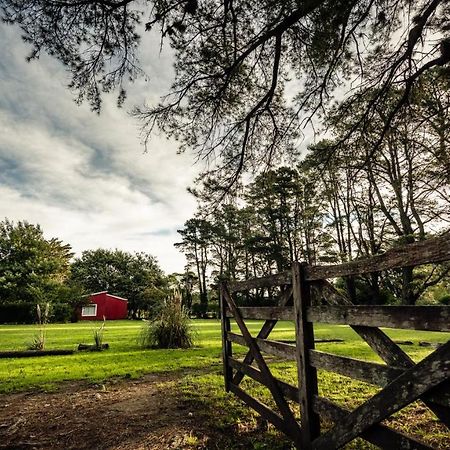 Appartamento NomeolvidesMás Tandil Esterno foto