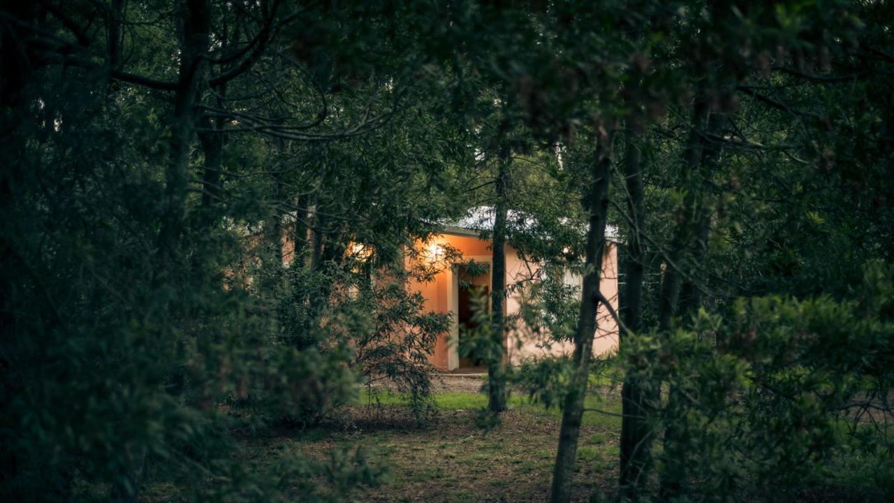 Appartamento NomeolvidesMás Tandil Esterno foto