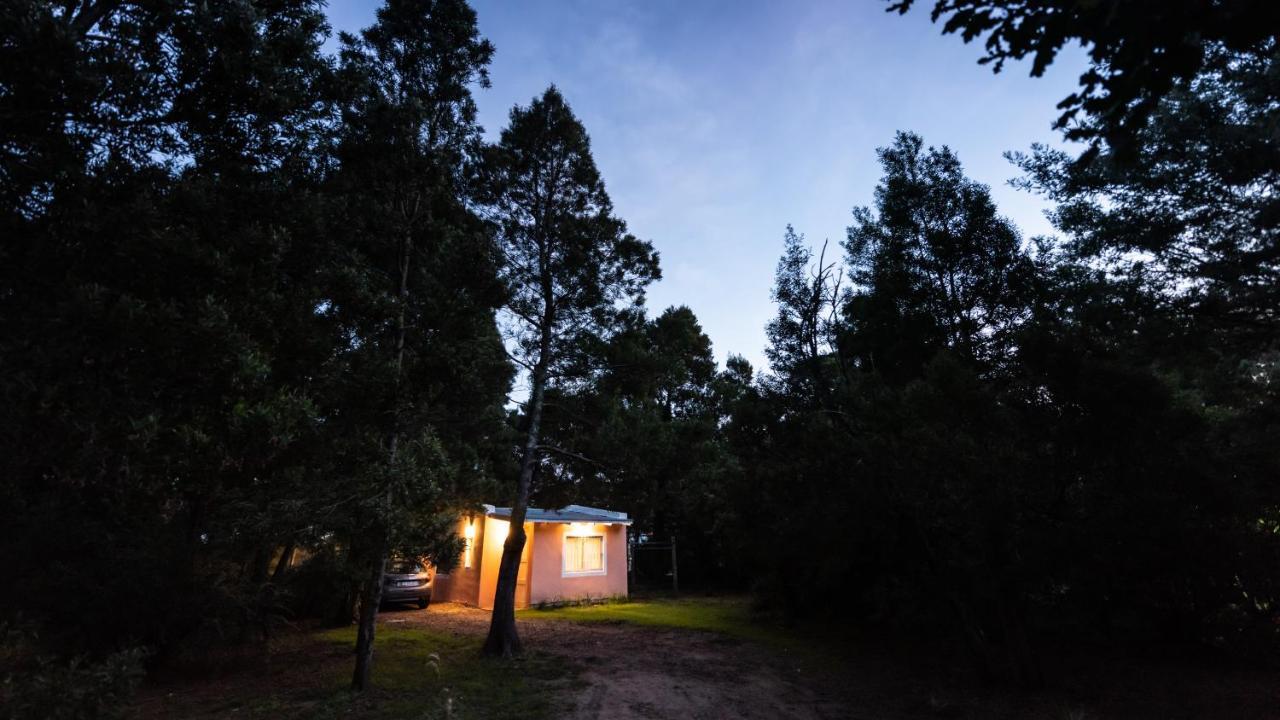 Appartamento NomeolvidesMás Tandil Esterno foto