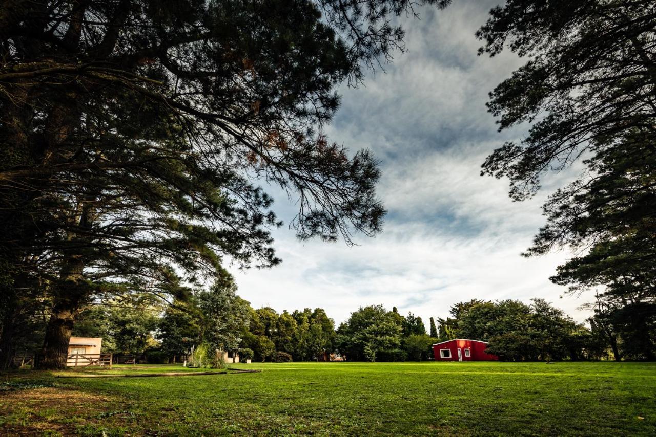 Appartamento NomeolvidesMás Tandil Esterno foto